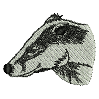 Badgers Head 11188