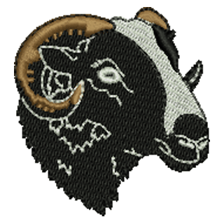 Balwan Sheep 11189