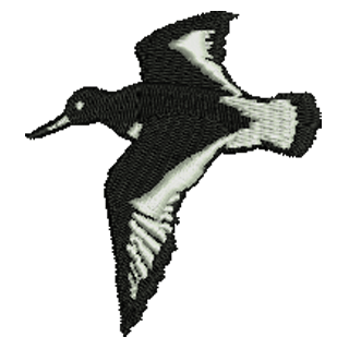 Bird Flying 11194
