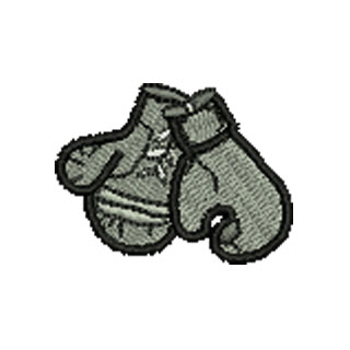 Boxing Gloves 12667