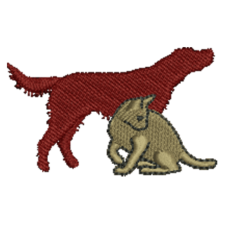 Cat and a Dog 11205
