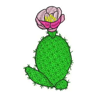 Cactus 13037