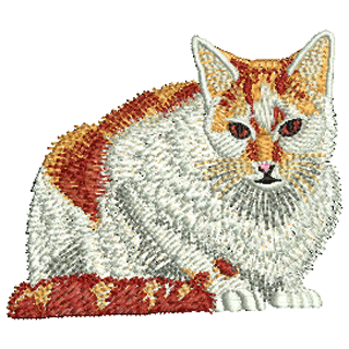 Cat 12300