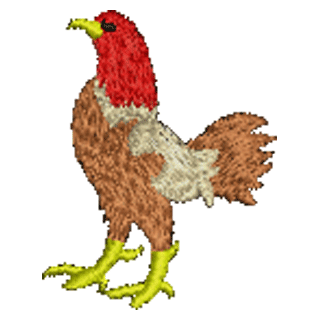 Cockerel 11212