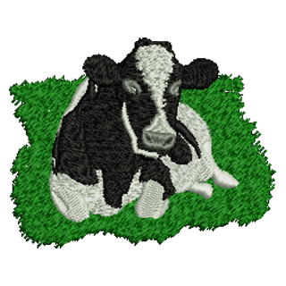 Cow 11213