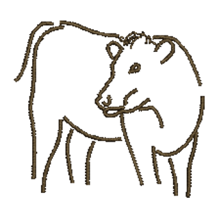 Cow 14269