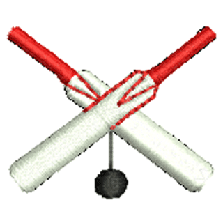 Cricket Bats 20167