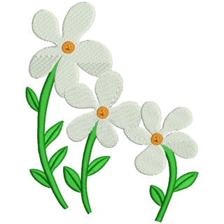 Daisy Flowers 12320