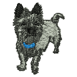 Dog 12337