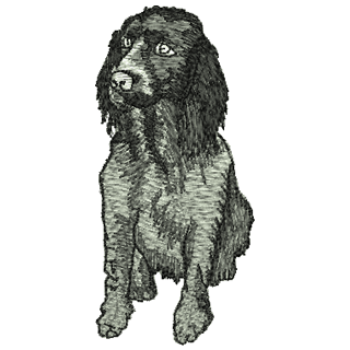 Dog 12338