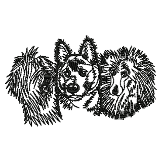 Dog Sketch 11219