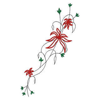 Flower 12964
