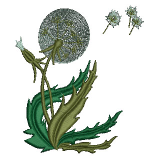 Flower 12971