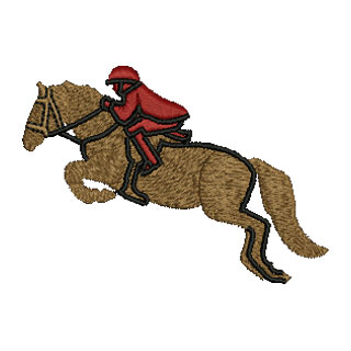 Horse 13837