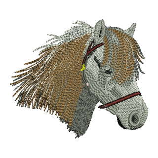Horses Head 12985