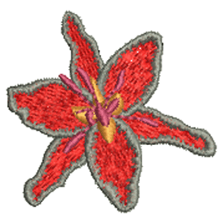 Lily 11723