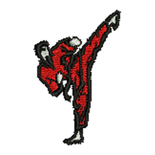 Martial Arts 12931