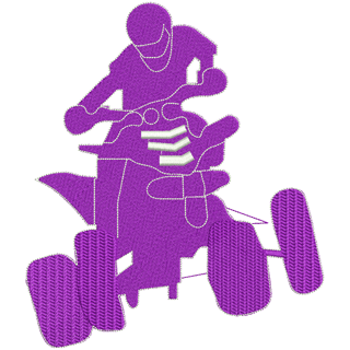 Quad Bike 11396