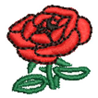 Rose 12599