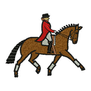 Show Horse 13870