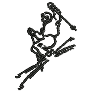 Skier 12604