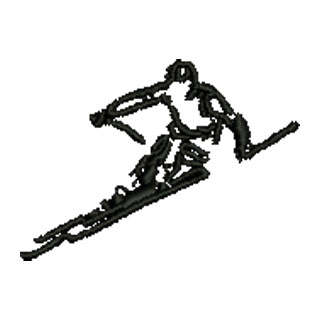Skiier 12773