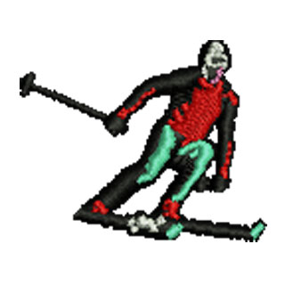Skiier 13446