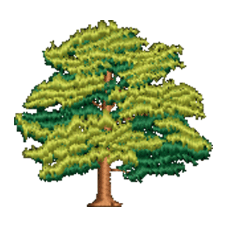 Tree 12785