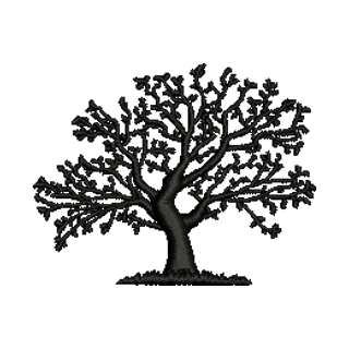 Tree 14379