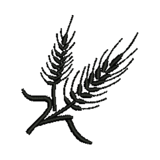 Wheat 14382