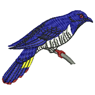 Bird 10391