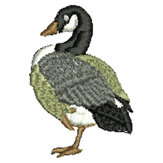 Bird 10876