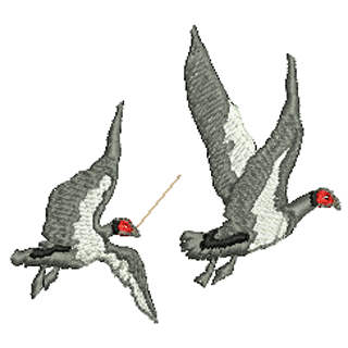 Birds 10774