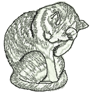 Cat 11162