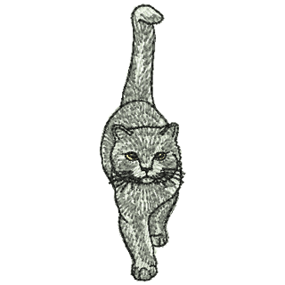 Cat 11164