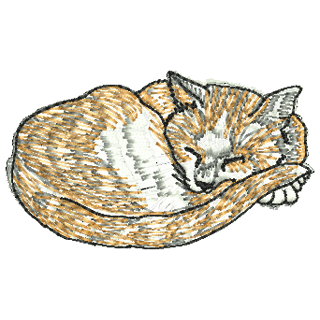 Cat 11169