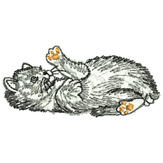 Cat 11172