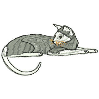 Cat 11176