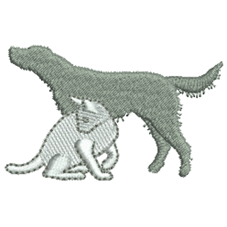 Cat & Dog 12302