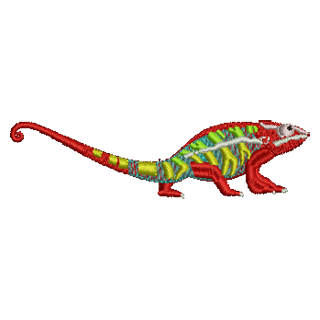 Chameleon 11206