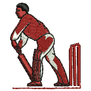 Cricket 10588