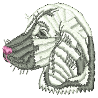 Dog 10630