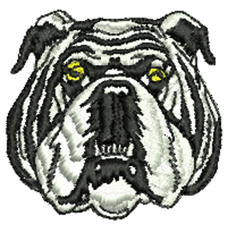 Dog 10912