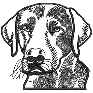 Dog 12055