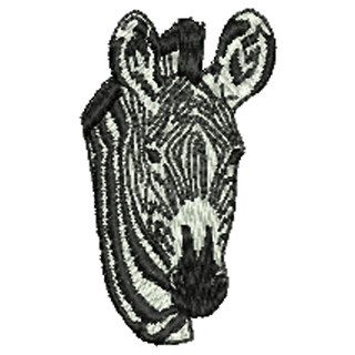 Donkey 10908