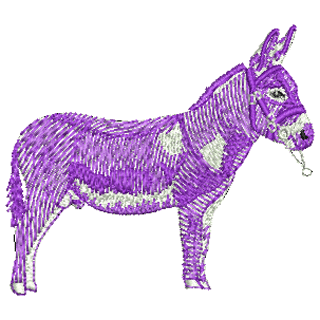 Donkey 12342