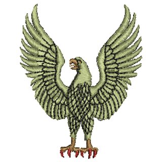 Eagle 20618