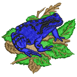 Frog 10939