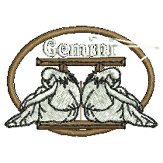 Gemini 10254