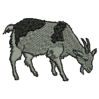 Goat 20627